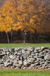 Colorful fall foliage, New England, USA-Jim Engelbrecht-Photographic Print
