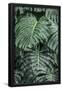 Essential Black