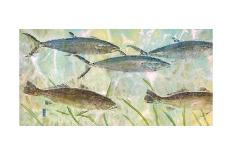 Tarpon Lagoon-Jim Roberts-Art Print