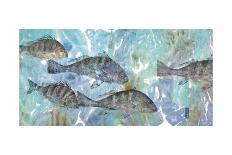 Tarpon Lagoon-Jim Roberts-Art Print