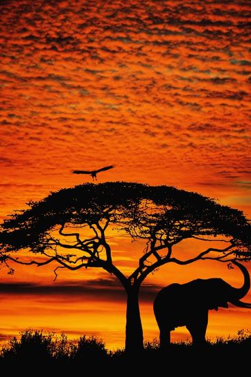 Giant Art Print, , large
