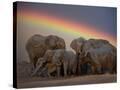 Stretched Canvas