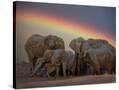 Stretched Canvas