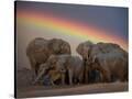 Stretched Canvas