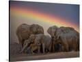 Stretched Canvas