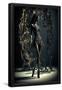 Essential Black