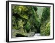 Chelsea Black