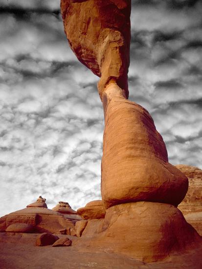 Photographic Print, , large