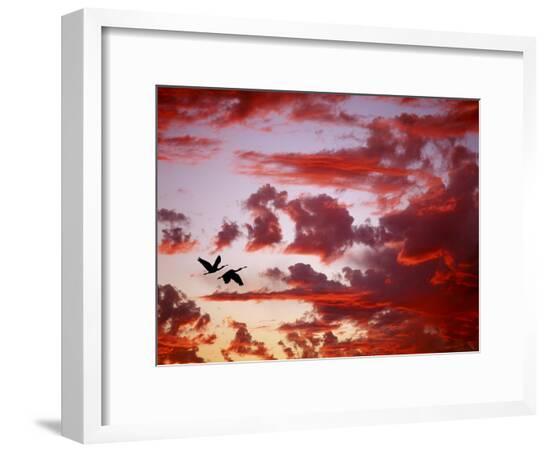 Framed Photographic Print, , large