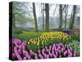 Stretched Canvas