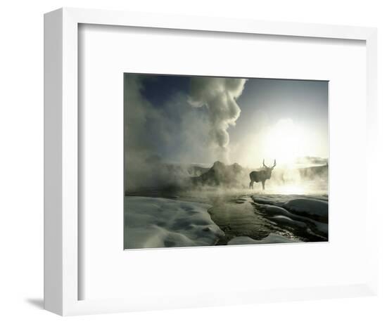 Framed Photographic Print, , large