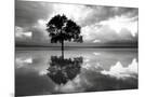Wood Mount