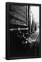 Essential Black