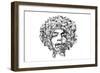 Jimi Hendrix-O.M.-Framed Premium Giclee Print