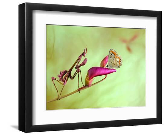 Premium Photographic Print, , large