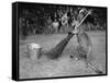 Jimmy Le Kangourou Du Zoo De Londres Faisant Le Menage-null-Framed Stretched Canvas