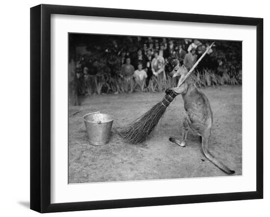 Photo, , large