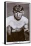 Jimmy Walsh, British Boxer, 1938-null-Framed Stretched Canvas