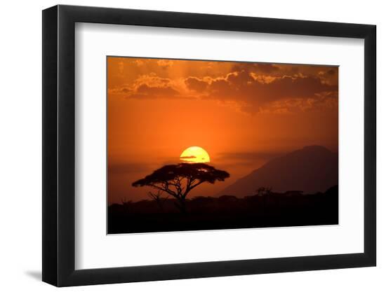 Premium Photographic Print, , large