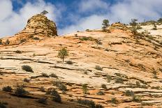 Sandstone Landscape-jimsphotos-Laminated Photographic Print