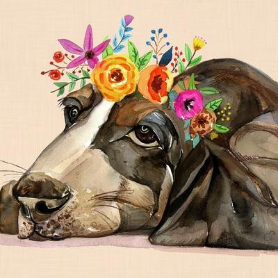 Dog With A Wreath Of Colorful Blossoms 11