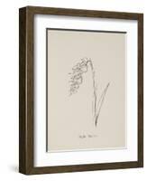 Jinglia Tinkettlia. Illustrations From Nonsense Botany, and Nonsense Alphabets by Edward Lear-Edward Lear-Framed Giclee Print