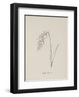 Jinglia Tinkettlia. Illustrations From Nonsense Botany, and Nonsense Alphabets by Edward Lear-Edward Lear-Framed Giclee Print