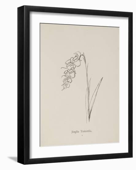 Jinglia Tinkettlia. Illustrations From Nonsense Botany, and Nonsense Alphabets by Edward Lear-Edward Lear-Framed Giclee Print