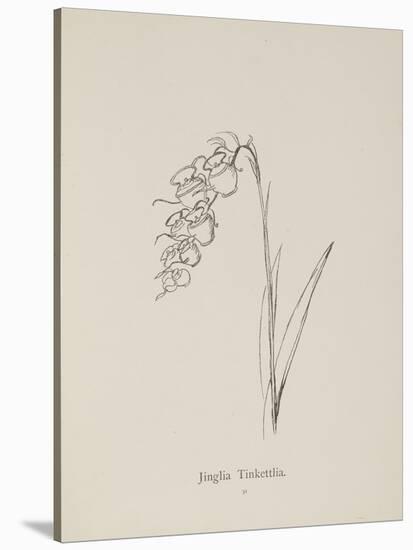 Jinglia Tinkettlia. Illustrations From Nonsense Botany, and Nonsense Alphabets by Edward Lear-Edward Lear-Stretched Canvas