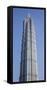 Jinmao Tower, Lujiazui financial district, Pudong,  Shanghai, China-Jon Arnold-Framed Stretched Canvas