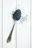 The Poppy Seed in Silver Spoon-jirkaejc-Photographic Print