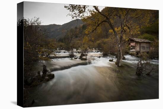 Jiuzhaigou (Nine Village Valley), UNESCO World Heritage Site, Sichuan province, China, Asia-Michael Snell-Stretched Canvas