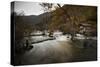 Jiuzhaigou (Nine Village Valley), UNESCO World Heritage Site, Sichuan province, China, Asia-Michael Snell-Stretched Canvas