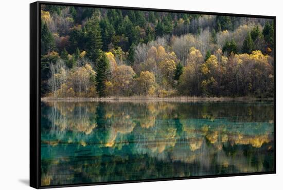 Jiuzhaigou on the Edge of the Tibetan Plateau, known for its Waterfalls and Colourful Lakes-Alex Treadway-Framed Stretched Canvas