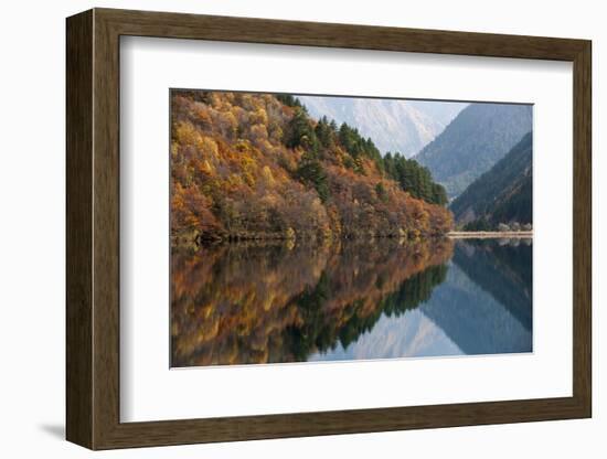 Jiuzhaigou on the Edge of the Tibetan Plateau, known for its Waterfalls and Colourful Lakes-Alex Treadway-Framed Photographic Print