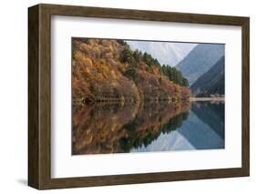 Jiuzhaigou on the Edge of the Tibetan Plateau, known for its Waterfalls and Colourful Lakes-Alex Treadway-Framed Photographic Print