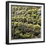 Jizo Figures at Shrine in Kyoto-Micha Pawlitzki-Framed Photographic Print