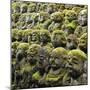 Jizo Figures at Shrine in Kyoto-Micha Pawlitzki-Mounted Photographic Print