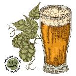 Hand Drawn Beer Glass with Hops Plant. Alcohol Drink Sketch Vector Illustration-Jka-Art Print