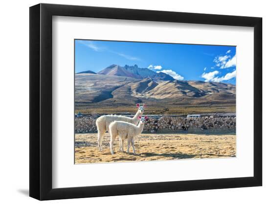 Premium Photographic Print, , large