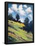 Essential Black