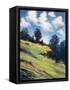 Canvas Black