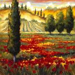Tuscany in Bloom II-JM Steele-Stretched Canvas