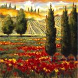 Tuscany in Bloom I-JM Steele-Framed Stretched Canvas