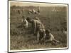 Jo Arnao 3-Lewis Wickes Hine-Mounted Photographic Print