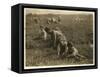 Jo Arnao 3-Lewis Wickes Hine-Framed Stretched Canvas