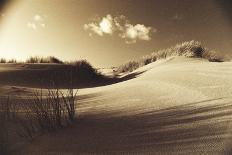 Drifting Sands Triptych-Jo Crowther-Giclee Print
