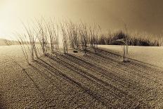 Drifting Sands Triptych-Jo Crowther-Giclee Print