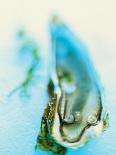 Olive Oil, Green Olives and Rosemary on Chopping Board-Jo Kirchherr-Photographic Print