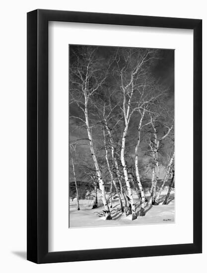 Jo’s Aspens-Barry Hart-Framed Giclee Print